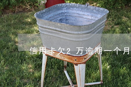 信用卡欠2万逾期一个月怎么办 信用卡欠2万逾期一个月怎么办