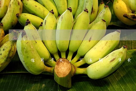 信用卡欠2万逾期一年费用多少