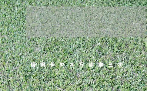 信用卡欠2万逾期三次 信用卡欠2万逾期三次