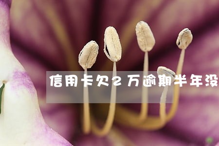 信用卡欠2万逾期半年没换 信用卡欠2万逾期半年没换