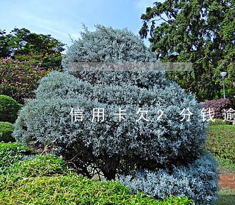 信用卡欠2分钱逾期 信用卡欠2分钱逾期