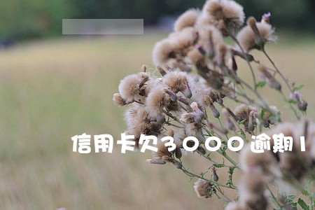 信用卡欠3000逾期10年 信用卡欠3000逾期10年