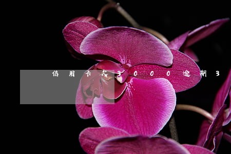 信用卡欠3000逾期3个月 信用卡欠3000逾期3个月