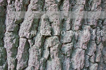 信用卡欠30万逾期4个月 信用卡欠30万逾期4个月