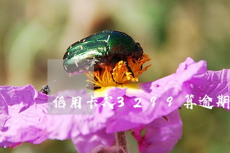 信用卡欠3299算逾期吗 信用卡欠3299算逾期吗