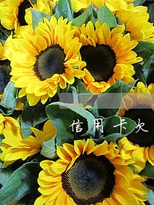 信用卡欠3元逾期6个月 信用卡欠3元逾期6个月