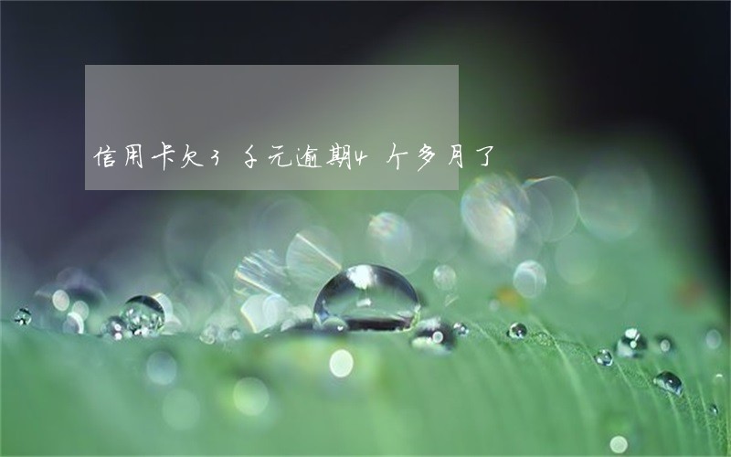 信用卡欠3千元逾期4个多月了