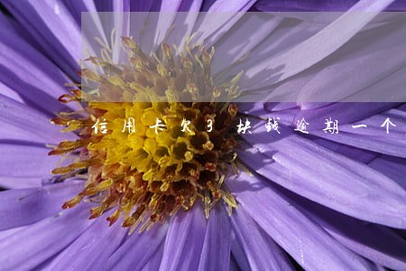 信用卡欠3块钱逾期一个月了 信用卡欠3块钱逾期一个月了