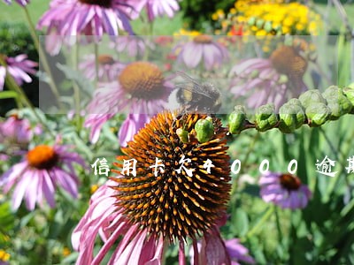 信用卡欠4000逾期3年 信用卡欠4000逾期3年