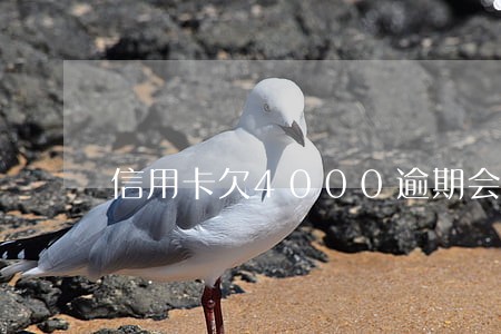 信用卡欠4000逾期会怎样 信用卡欠4000逾期会怎样