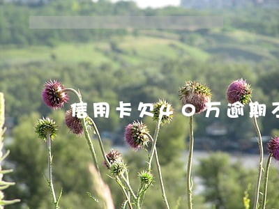 信用卡欠40万逾期不还款后果 信用卡欠40万逾期不还款后果