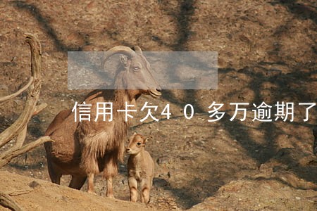 信用卡欠40多万逾期了 信用卡欠40多万逾期了