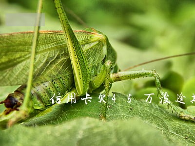 信用卡欠45万没逾期 信用卡欠45万没逾期