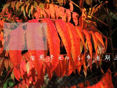 信用卡欠4千多逾期三个月