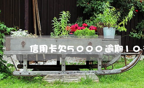 信用卡欠5000逾期10多天