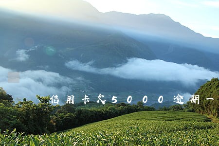 信用卡欠5000逾期一个月 信用卡欠5000逾期一个月