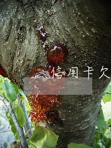 信用卡欠50万逾期坐牢