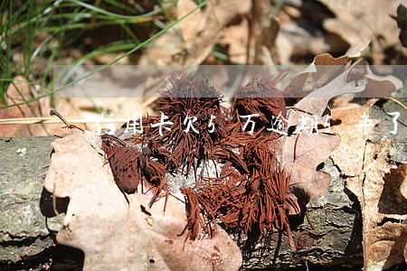 信用卡欠5万逾期5年了 信用卡欠5万逾期5年了