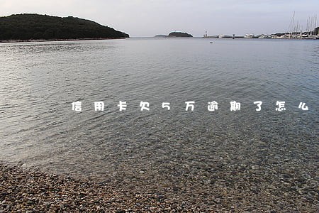 信用卡欠5万逾期了怎么算费用