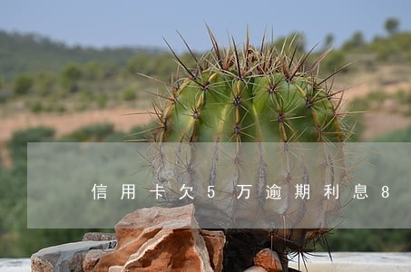 信用卡欠5万逾期利息8万 信用卡欠5万逾期利息8万