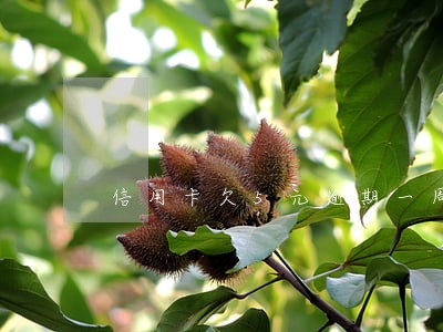 信用卡欠5元逾期一周 信用卡欠5元逾期一周