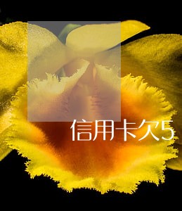信用卡欠5千逾期三个月会怎样 信用卡欠5千逾期三个月会怎样