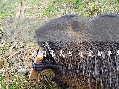 信用卡欠5千逾期半年会怎么样 信用卡欠5千逾期半年会怎么样
