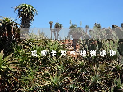 信用卡欠5块钱逾期 信用卡欠5块钱逾期