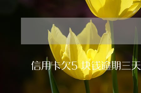 信用卡欠5块钱逾期三天 信用卡欠5块钱逾期三天