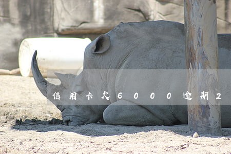 信用卡欠6000逾期2年了 信用卡欠6000逾期2年了