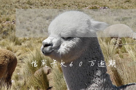 信用卡欠60万逾期 信用卡欠60万逾期