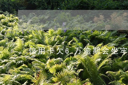信用卡欠6万逾期会坐牢吗 信用卡欠6万逾期会坐牢吗