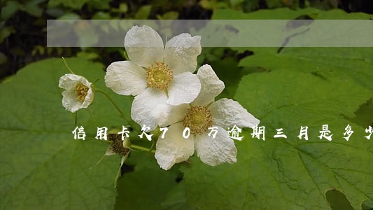 信用卡欠70万逾期三月是多少钱