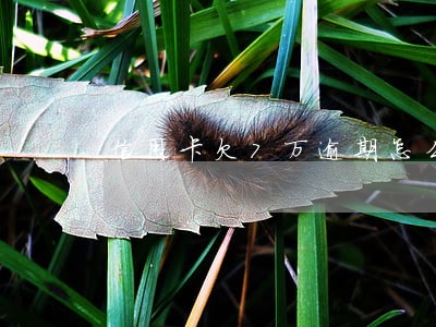 信用卡欠7万逾期怎么处理 信用卡欠7万逾期怎么处理