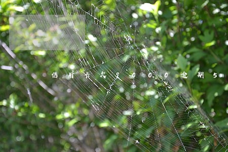 信用卡欠9000逾期5年 信用卡欠9000逾期5年