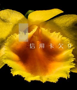 信用卡欠9万不逾期 信用卡欠9万不逾期