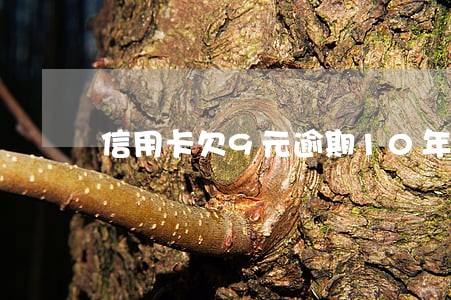 信用卡欠9元逾期10年 信用卡欠9元逾期10年