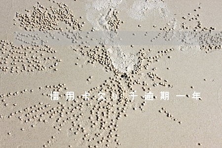 信用卡欠9千逾期一年 信用卡欠9千逾期一年