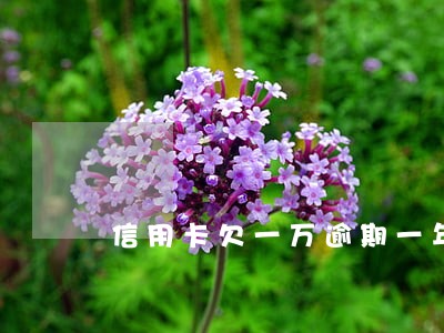 信用卡欠一万逾期一年会判刑吗 信用卡欠一万逾期一年会判刑吗