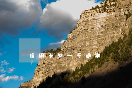 信用卡欠一千逾期 信用卡欠一千逾期