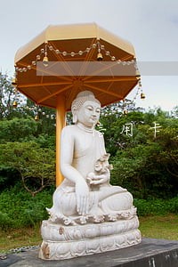 信用卡欠七年可以只还本金吗 信用卡欠七年可以只还本金吗