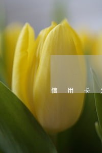 信用卡欠三万逾期一年会怎样 信用卡欠三万逾期一年会怎样