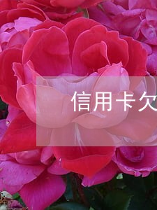 信用卡欠两万逾期3年 信用卡欠两万逾期3年