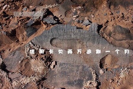 信用卡欠两万逾期一个月 信用卡欠两万逾期一个月