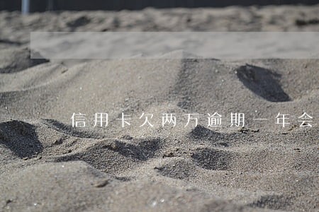 信用卡欠两万逾期一年会怎么样 信用卡欠两万逾期一年会怎么样