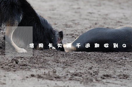 信用卡欠两千逾期收到QQ邮件