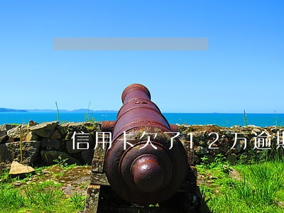 信用卡欠了12万逾期了三个月 信用卡欠了12万逾期了三个月