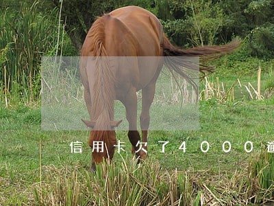 信用卡欠了4000逾期4个月 信用卡欠了4000逾期4个月