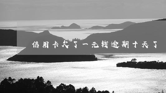 信用卡欠了一元钱逾期十天了 信用卡欠了一元钱逾期十天了
