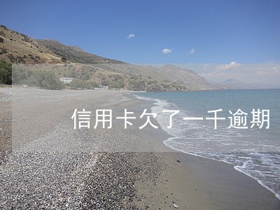 信用卡欠了一千逾期